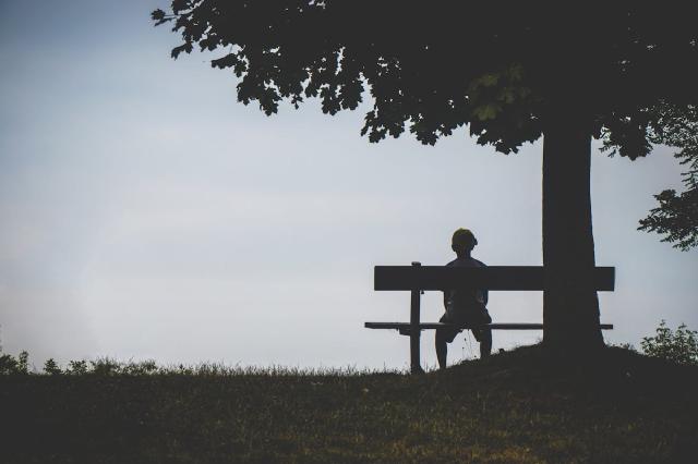 A lone silhouette sitting on a bench under a large tree at dusk